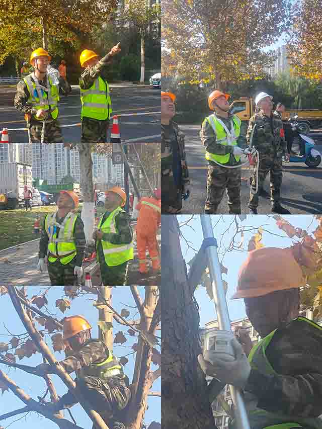 微信圖片_20211126175046PS.jpg 微信圖片_20211126175046PS.jpg